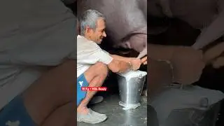 🧖🏻&zwj;♀️High Court (Official Music Video) Diler Kharkiya | New Haryanvi Song 2025 Shorts