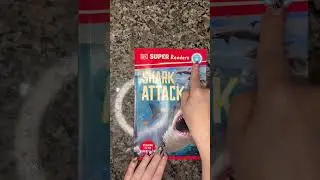 Shark Attack Level 4
