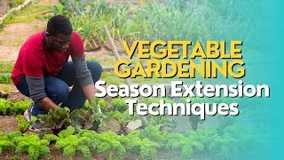 Vegetable Gardening: Season Extension Techniques