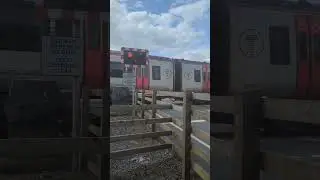158841 and 840 arriving at Tygwyn