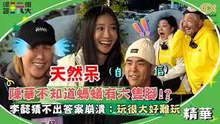陳華不知道螞蟻有六隻腳！？李懿猜不出答案崩潰：玩很大好難玩｜好看娛樂 #綜藝玩很大