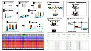 Significant of Maxam-Gilbert and Sanger and Next Generation Sequencing Methods