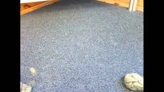 The Rena Accident