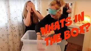 Whats In The Box Challenge ft. Sophie Louise