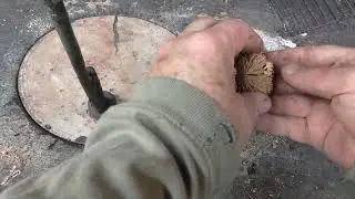 tricks on how to crack black walnuts