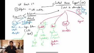 Fertility Masterclass 5- Luteal Phase Support | What Formulation to Give | Dr Jay Mehta