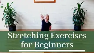 45 Minute Stretching Exercises for Beginners | Easy Yoga