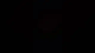 Light element