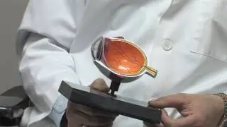 Eye Health & Optometry : How to Prevent Blindness