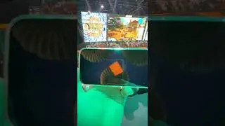 Pubgm WorldCup Opening ☠️💀