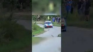 Rally Carnage  Insane Crashes, Epic Fails, and Unbelievable Saves! #shorts