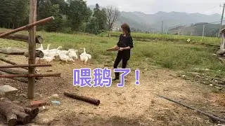 老公把媳妇丢家里来了场说走就走的旅行，才第一天就不习惯了！ #农村日常 #农村生活 #抖音乡村生活家 #三农流量扶持计划