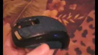 www.single-copy.com    Mouse Gold Diamond Crocodile Leather