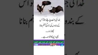 Best Islamic Quotes || Urdu Quotes ||🔥💯🤷#best#islamicstatus #allah#trending#shorts#viralvideo#quotes