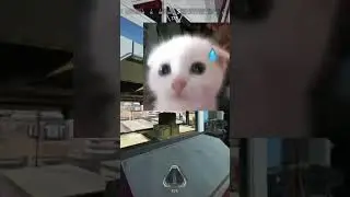 #apexlegends #entretenimiento #apex #funnyvideo #divertido #gracioso #xd