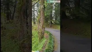 Georgia park #shorts #trending #park #garden #viralvideo #youtubeshorts #youtube #viralreel