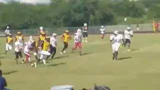 Camar Wheaton 2016 13U Wolverines beast run