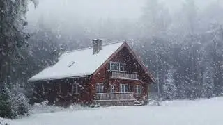 Winter Blizzard Sounds Deep in the Forest | Cold Wind Ambience for Peaceful Rest