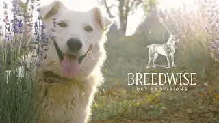 Breedwise Pet Provisions
