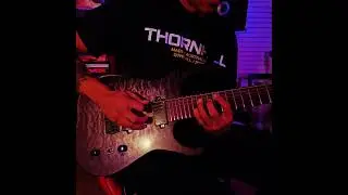 Guitar cover 