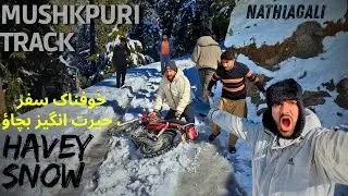 Mushkpuri Top 🏔️ | havey snow 🌨️| black ice | slippery track 🏔️#nathiyagali 