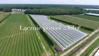 Polana sp. z o.o. Ekologiczna plantacja borówki amerykańskiej w Ochoża