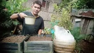 Magtanim tayo mga kabukid ng Upland na Kangkong!
