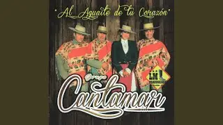 Quien Sigue la Consigue - Hierbita Buena