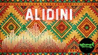 Neural Harmony - Alidini