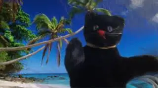 Phonemic Feline Intro