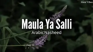 Muza - Maula ya Salli | Arabic Nasheed With English Subtitles | Vocals | Halal Vibes