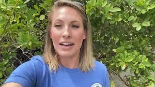 Keep Florida Growing: Seaventure Clam Co.