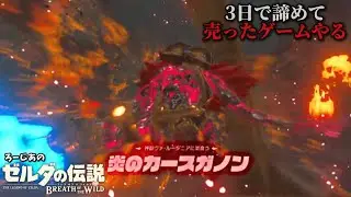 【10日目】しのごの言わんと『炎のカースガノン』ぶっ〇しに行きますわ【ゼルダの伝説ブレスオブザワイルド】#shorts