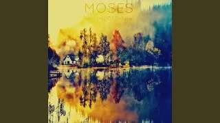 Sunny Walk (Original Mix)