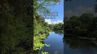 POV: Stress-Free Disney at Animal Kingdom 🌿✨ | Expedition Everest Views