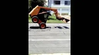 Bobcat tricks by Peter
