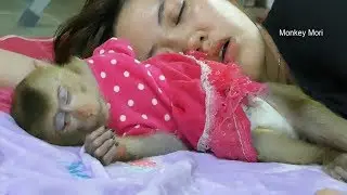 Baby Mori Feel Comfort When Mom Sleep Near Her