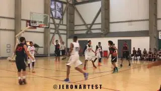 Jeron Artest Mixtape - Basketball Game Highlights 41 San Diego