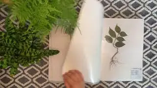 Weeds Herbarium Collection