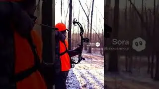 Shot from the tree#country #wildlife #nature #hunting #deer #hunter