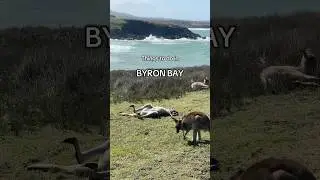 Things to do in Byron Bay #nsw #lighthouse #byronbay #beach #nsw #goldcoast