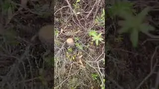 Trying to hide evidence?