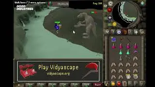 Dagannoth Rex Expensive SOLO Setup
