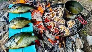 FIRE ROASTED FROG LEGS! 2 Days Fishing Cooking Camping in the Swamp!