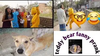Teddy bear prank fanny video public 