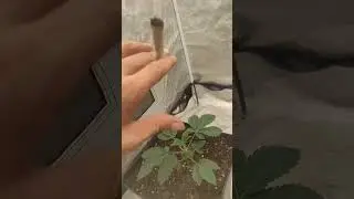 Cap 6 : El gran cambio y es buen Comienzo! (Led Platinum King Eco 720w) 