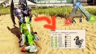 ARK PRIMITIVO #119 - DODOS Como Voc&ecirc; NUNCA Viu!