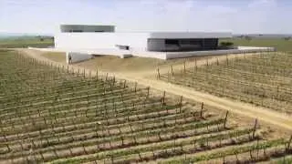 Apresenta&ccedil;&atilde;o Vinho Siza | Adega Mayor
