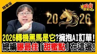 【精華】2026元月卡位戰-不想再當賠錢分母！總編揭密11%漲倍黑馬：這族群關稅100%照樣拉貨，點名昇達科、萊德、IET-KY甜蜜點公開！《股民想知道》ft. 萬寶周刊總編輯莊正賢 .俞璘