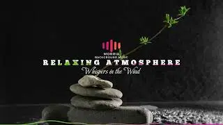 Relaxing Atmosphere - MORRIX BACKGROUND MUSIC - Whispers in the Wind